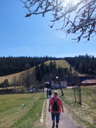 Wanderung mit Übernachtung, 
Hochmoor Kaltenbronn,
12. April 2025